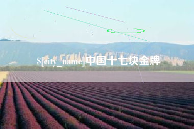 冠县中国十七块金牌