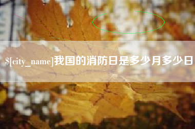 冠县我国的消防日是多少月多少日