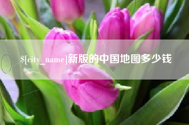冠县新版的中国地图多少钱