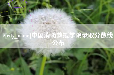 冠县中国消防救援学院录取分数线公布