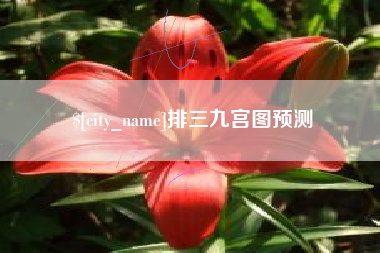 冠县排三九宫图预测