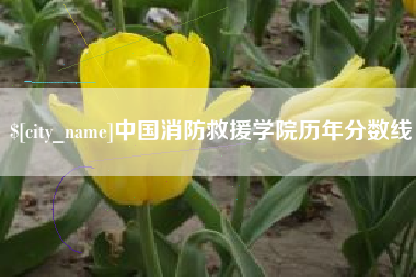 冠县中国消防救援学院历年分数线
