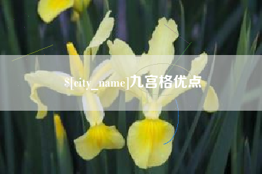 冠县九宫格优点