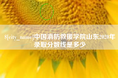 冠县中国消防救援学院山东2020年录取分数线是多少