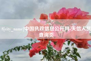 冠县中国执政信息公开网-失信人员查询页