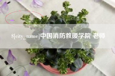 冠县中国消防救援学院 老师