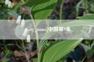 冠县中国第9金