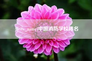 冠县中国消防学校排名
