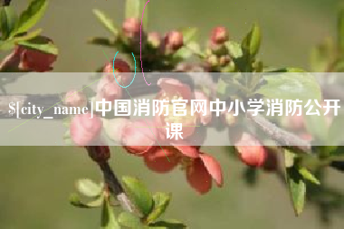 冠县中国消防官网中小学消防公开课