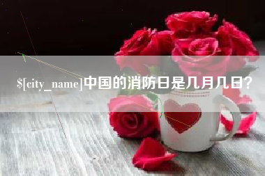 冠县中国的消防日是几月几日？