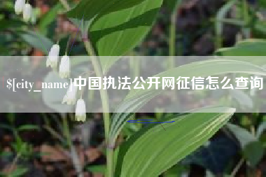冠县中国执法公开网征信怎么查询