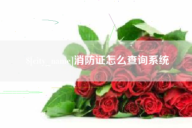 冠县消防证怎么查询系统