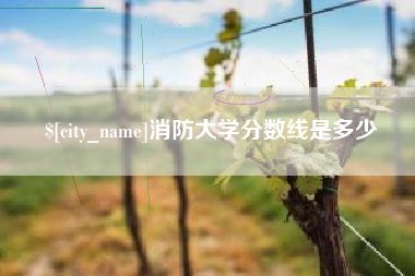 冠县消防大学分数线是多少