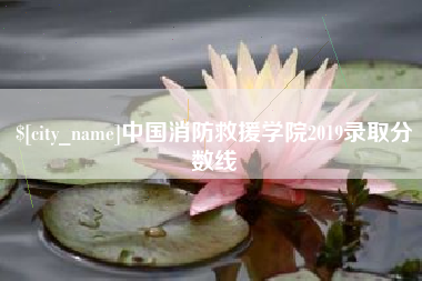冠县中国消防救援学院2019录取分数线