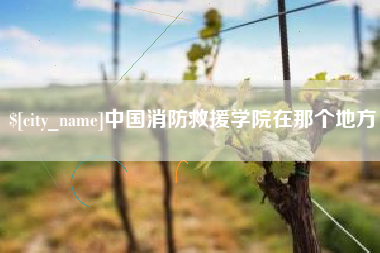 冠县中国消防救援学院在那个地方
