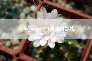 冠县2021消防分数线
