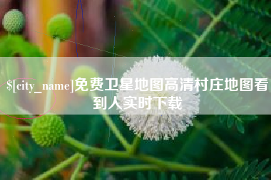 冠县免费卫星地图高清村庄地图看到人实时下载