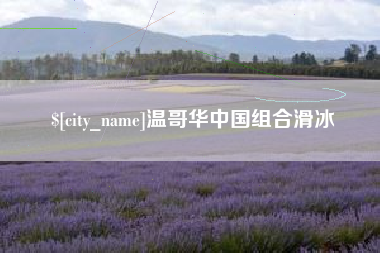 冠县温哥华中国组合滑冰
