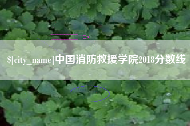 冠县中国消防救援学院2018分数线