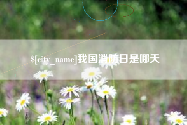 冠县我国消防日是哪天