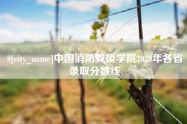 冠县中国消防救援学院2020年各省录取分数线
