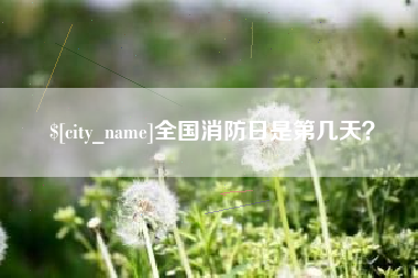 冠县全国消防日是第几天？