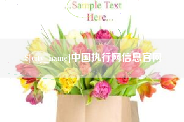冠县中国执行网信息官网