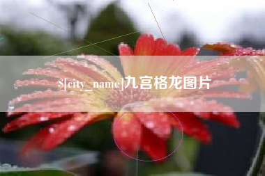 冠县九宫格龙图片