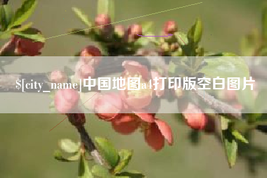 冠县中国地图a4打印版空白图片