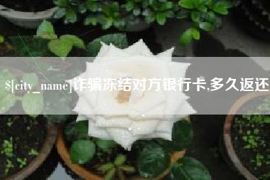 冠县诈骗冻结对方银行卡,多久返还
