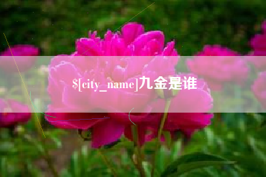 冠县九金是谁