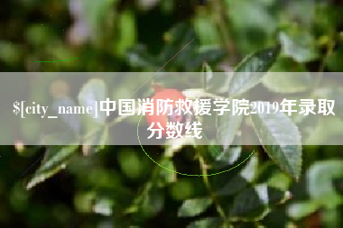 冠县中国消防救援学院2019年录取分数线