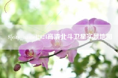 冠县2024高清北斗卫星实景地图