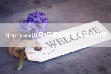冠县11月9日是消防安全日的由来