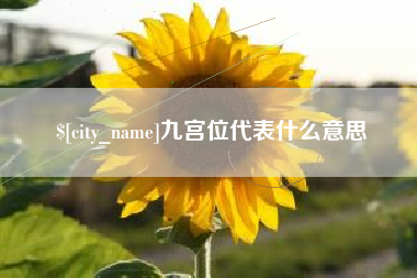 冠县九宫位代表什么意思