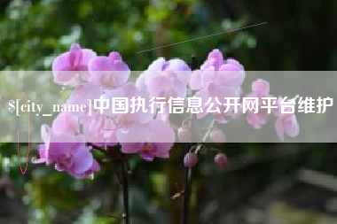 冠县中国执行信息公开网平台维护