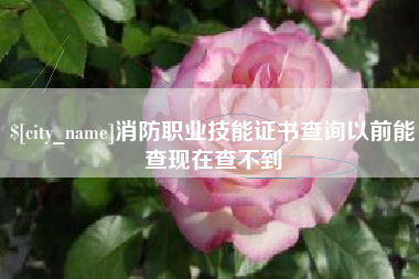 冠县消防职业技能证书查询以前能查现在查不到