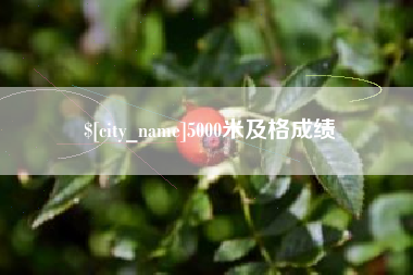 冠县5000米及格成绩