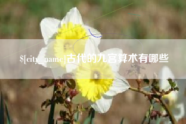 冠县古代的九宫算术有哪些