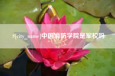 冠县中国消防学院是军校吗