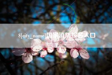 冠县国家消防报名入口