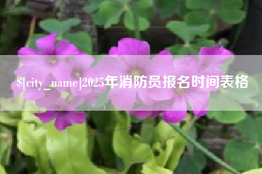 冠县2025年消防员报名时间表格