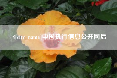 冠县中国执行信息公开网后