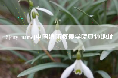 冠县中国消防救援学院具体地址