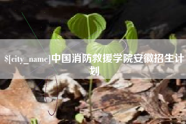 冠县中国消防救援学院安徽招生计划
