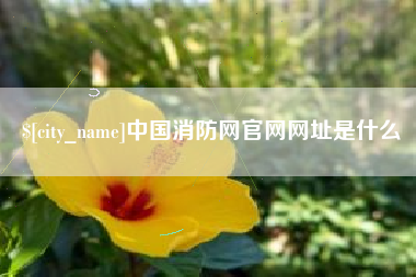 冠县中国消防网官网网址是什么