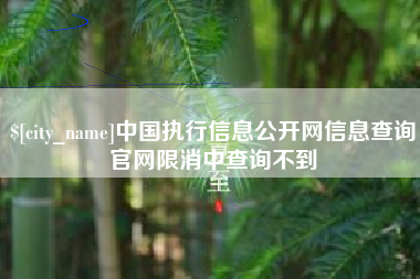 冠县中国执行信息公开网信息查询官网限消中查询不到