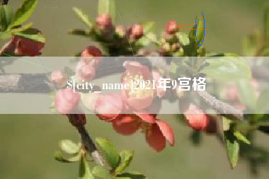 冠县2021年9宫格