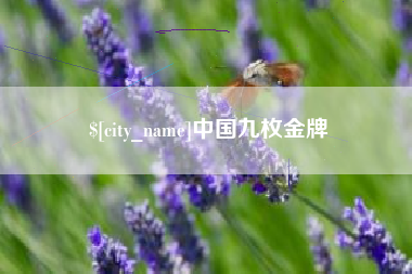 冠县中国九枚金牌