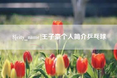 冠县王子豪个人简介乒乓球